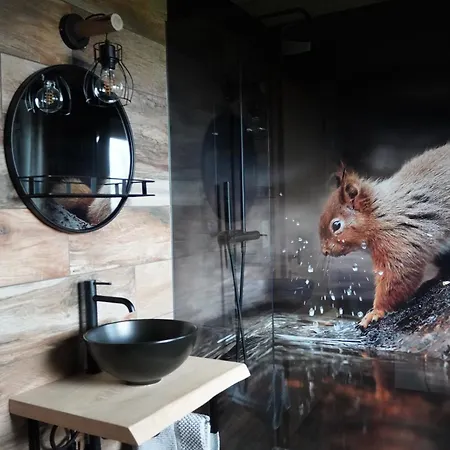 Petite Perle En Haute Ardenne Avec Vue Sur La Vallée, Infra-rouge Et Bain Balnéo Lierneux