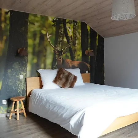 Casa vacanze Petite Perle En Haute Ardenne Avec Vue Sur La Vallée, Infra-rouge Et Bain Balnéo