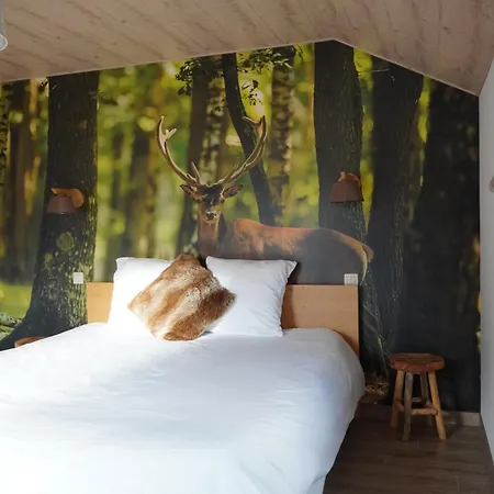 Casa vacanze Petite Perle En Haute Ardenne Avec Vue Sur La Vallée, Infra-rouge Et Bain Balnéo Lierneux